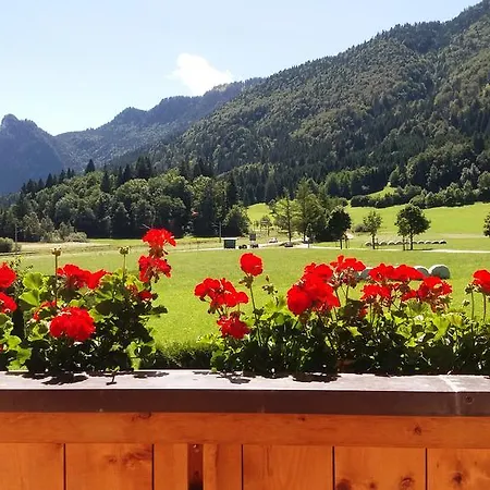 Apartment Mit Bergblick